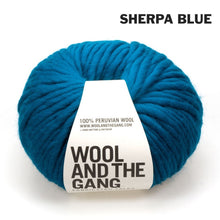 Load image into Gallery viewer, Wool and the Gang Crazy Sexy Wool