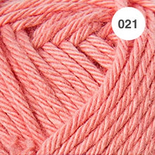 Load image into Gallery viewer, Ricorumi DK Cotton 25g minis