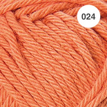 Load image into Gallery viewer, Ricorumi DK Cotton 25g minis