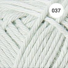 Load image into Gallery viewer, Ricorumi DK Cotton 25g minis