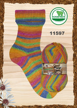 Load image into Gallery viewer, Opal 4-ply limited edition: Schafpate 17 – Wild Nature