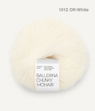 Load image into Gallery viewer, Sandnes Garn Ballerina Chunky Mohair
