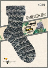 Load image into Gallery viewer, Opal 6-Ply Self-Patterning (sport / DK / #3-4 weight)