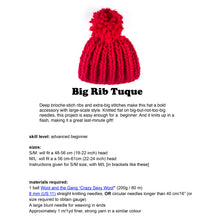 Load image into Gallery viewer, Wool and the Gang Crazy Sexy Wool