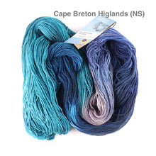 Load image into Gallery viewer, Fleece Artist Bluenose Sock