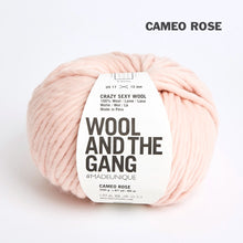 Load image into Gallery viewer, Wool and the Gang Crazy Sexy Wool