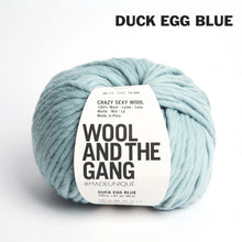 Load image into Gallery viewer, Wool and the Gang Crazy Sexy Wool