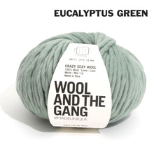 Load image into Gallery viewer, Wool and the Gang Crazy Sexy Wool