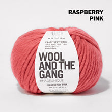 Load image into Gallery viewer, Wool and the Gang Crazy Sexy Wool