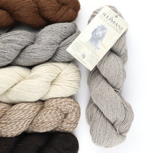 Load image into Gallery viewer, Illimani Eco Llama