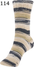 Load image into Gallery viewer, Fortissima Cotton Sock Yarn - Hawaii Collection