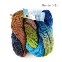 Load image into Gallery viewer, Fleece Artist Bluenose Sock