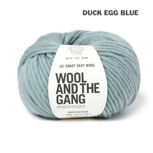 Load image into Gallery viewer, Wool and the Gang Lil' Crazy Sexy Wool
