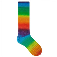 Load image into Gallery viewer, Colour Story Yarns Handpainted Twins