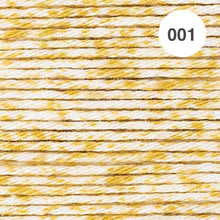 Load image into Gallery viewer, Ricorumi Spray DK Cotton 25g minis