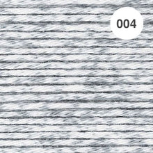 Load image into Gallery viewer, Ricorumi Spray DK Cotton 25g minis