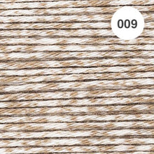 Load image into Gallery viewer, Ricorumi Spray DK Cotton 25g minis