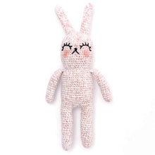 Load image into Gallery viewer, Ricorumi Spray DK Cotton 25g minis