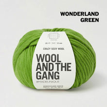 Load image into Gallery viewer, Wool and the Gang Crazy Sexy Wool