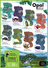 Load image into Gallery viewer, Opal 4-ply limited edition: Rainforest Collection No. 21
