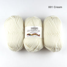 Load image into Gallery viewer, Cascade 220 Superwash Merino