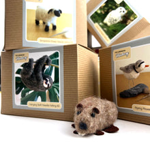 Load image into Gallery viewer, Lunenburg Makery Sculptural Needle Felting Kits

