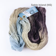 Load image into Gallery viewer, Fleece Artist Bluenose Sock