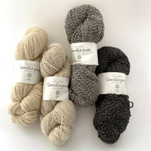 Load image into Gallery viewer, BC Garn Semilla Pura