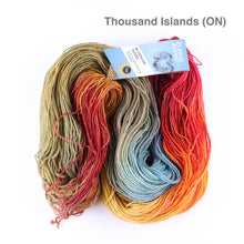 Load image into Gallery viewer, Fleece Artist Bluenose Sock