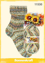 Load image into Gallery viewer, Opal 4-ply limited edition: Watercolour
