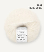 Load image into Gallery viewer, Sandnes Garn Ballerina Chunky Mohair
