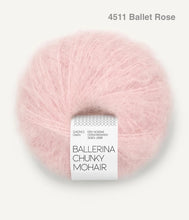 Load image into Gallery viewer, Sandnes Garn Ballerina Chunky Mohair
