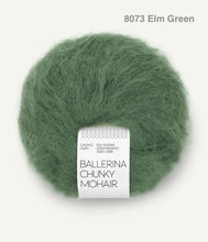 Load image into Gallery viewer, Sandnes Garn Ballerina Chunky Mohair
