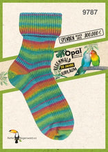 Load image into Gallery viewer, Opal 6-Ply Self-Patterning (sport / DK / #3-4 weight)
