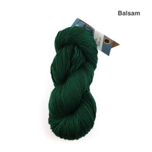 Load image into Gallery viewer, Fleece Artist Zephyr 2.0 Superwash Merino Sport
