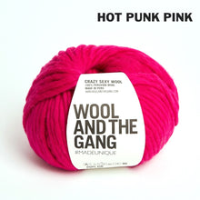 Load image into Gallery viewer, Wool and the Gang Crazy Sexy Wool
