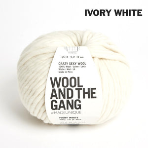 Wool and the Gang Crazy Sexy Wool