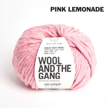 Load image into Gallery viewer, Wool and the Gang Crazy Sexy Wool
