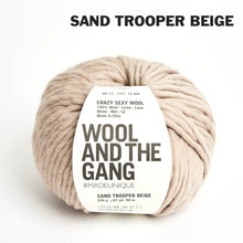 Load image into Gallery viewer, Wool and the Gang Crazy Sexy Wool
