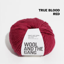 Load image into Gallery viewer, Wool and the Gang Crazy Sexy Wool

