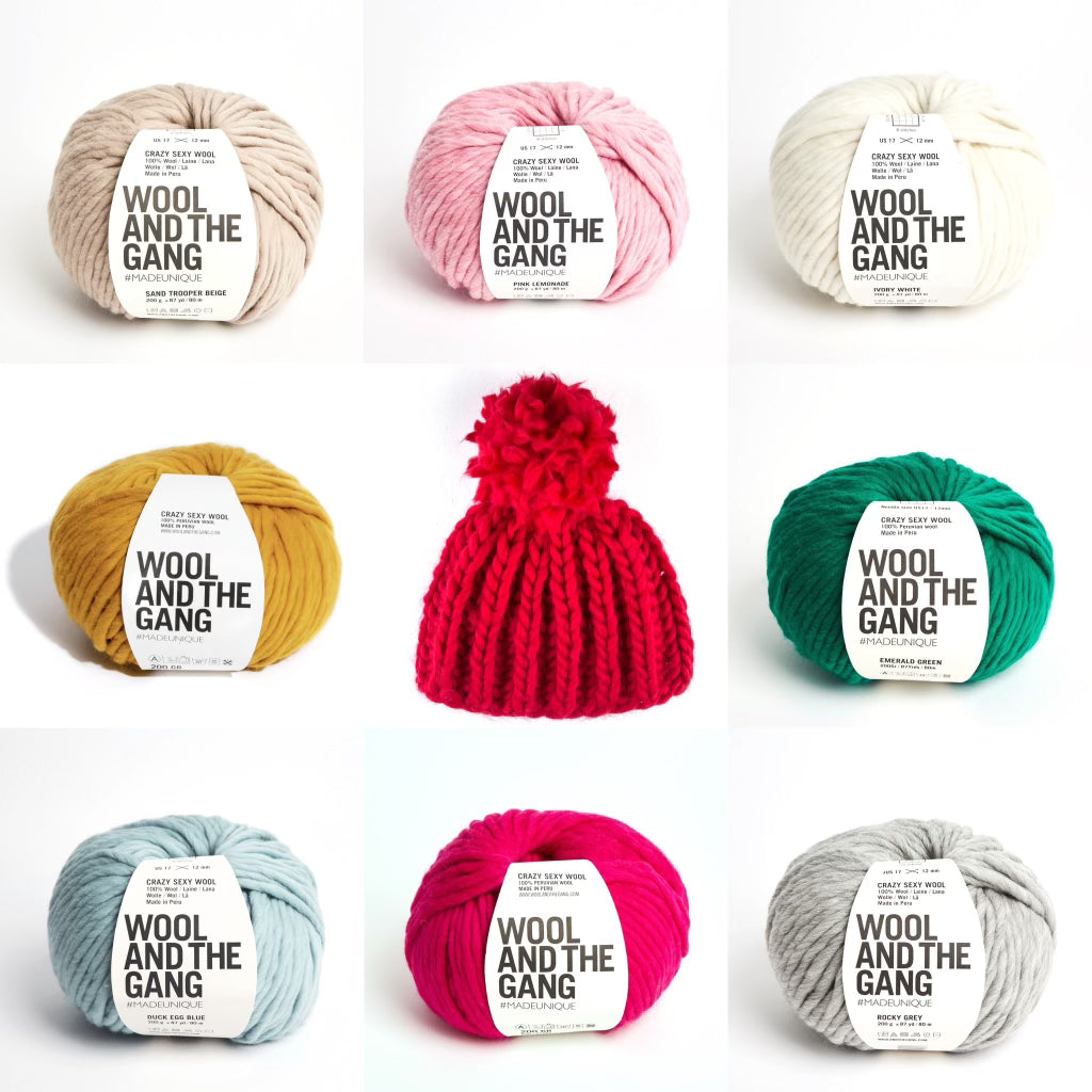 Wool and the Gang Crazy Sexy Wool – The Loop Modern Fibre Craft