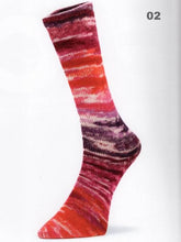 Load image into Gallery viewer, Laines du Nord Mad Socks

