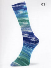 Load image into Gallery viewer, Laines du Nord Mad Socks
