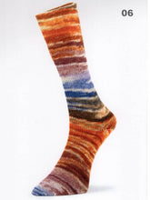 Load image into Gallery viewer, Laines du Nord Mad Socks
