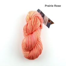 Load image into Gallery viewer, Fleece Artist Zephyr 2.0 Superwash Merino Sport
