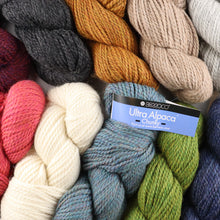 Load image into Gallery viewer, Berroco Ultra Alpaca Chunky
